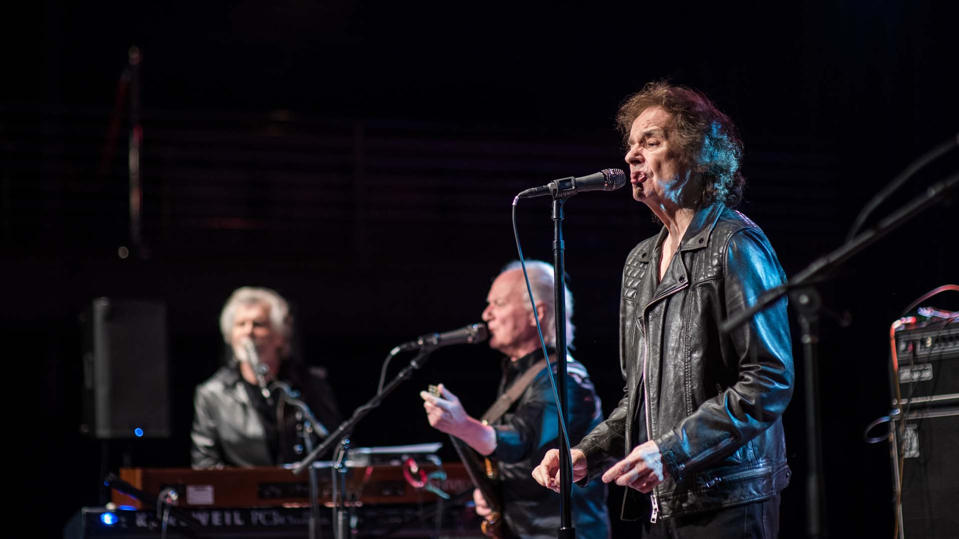 Photo Gallery: The Zombies in Houston, TX